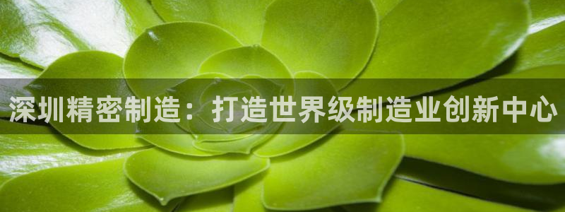 v大发彩神8iii：深圳精密制造：打造世界级制造业创新中心