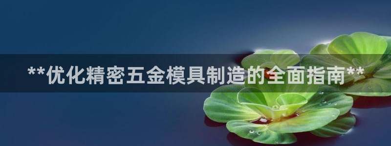 彩神购彩购彩大厅入口v：**优化精密五金模具制造的全面指南**