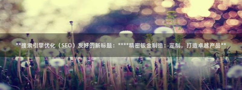 彩神是怎样一个平台：**搜索引擎优化（SEO）友好的新标题：****精密钣金制造：定制，打造卓越产品**