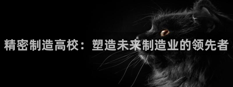 彩神正规吗：精密制造高校：塑造未来制造业的领先者