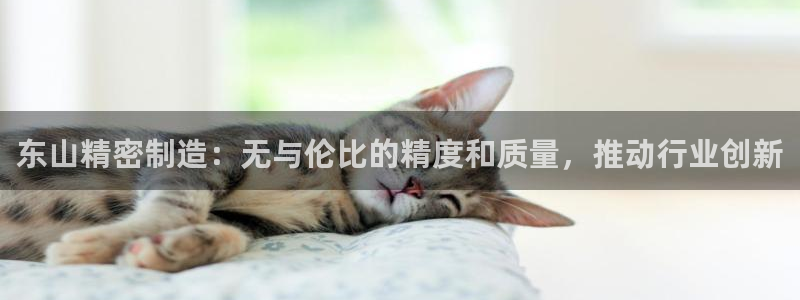 彩神ix平台：东山精密制造：无与伦比的精度和质量，推动行业创新