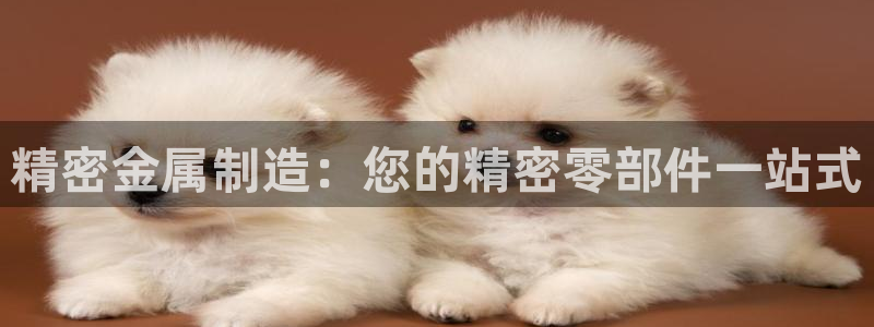 彩神vii购彩l心：精密金属制造：您的精密零部件一站式