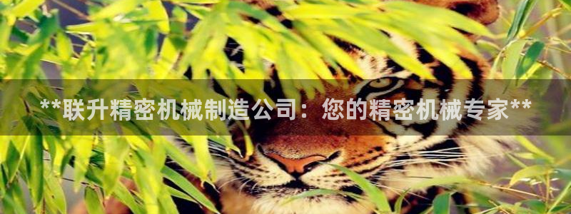 彩神8软件下载：**联升精密机械制造公司：您的精密机械专家**