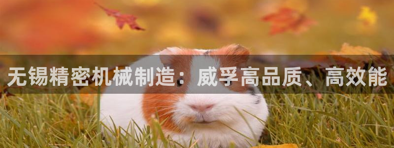 彩神vll官网-最新版app下载：无锡精密机械制造：威孚高品质、高效能