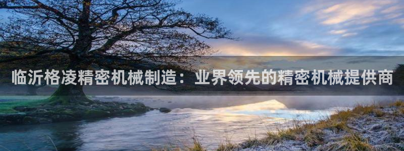 彩神V集团公司：临沂格凌精密机械制造：业界领先的精密机械提供商