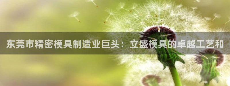 彩神v8平台正规吗：东莞市精密模具制造业巨头：立盛模具的卓越工艺和