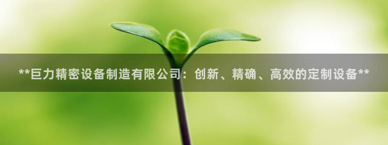 彩神VII官方版：**巨力精密设备制造有限公司：创新、精确、高效的定制设备**
