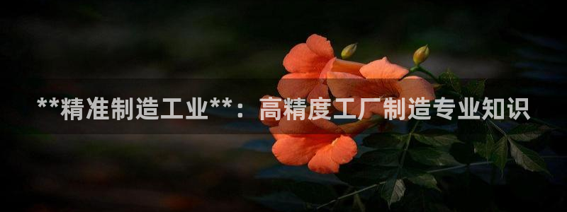 彩神赢钱了吗是真的吗：**精准制造工业**：高精度工厂制造专业知识