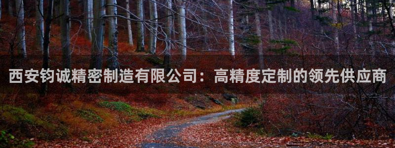彩神购彩-购彩大厅入口娱乐首选：西安钧诚精密制造有限公司：高精度定制的领先供应商