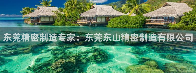 彩神大发cp：东莞精密制造专家：东莞东山精密制造有限公司