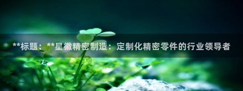 彩神v8下载网址：**标题：**星徽精密制造：定制化精密零件的行业领导者