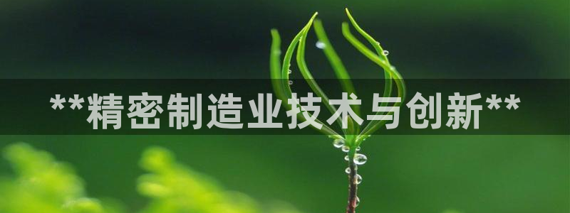彩神8软件下载：**精密制造业技术与创新**