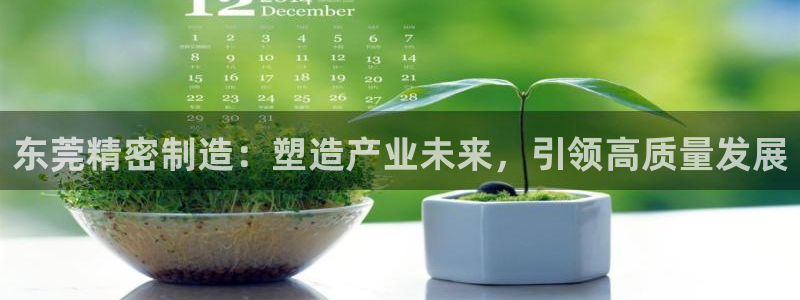新版彩神v8登录：东莞精密制造：塑造产业未来，引领高质量发展