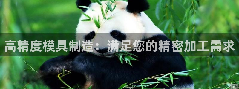彩神vll购彩大厅大众：高精度模具制造：满足您的精密加工需求
