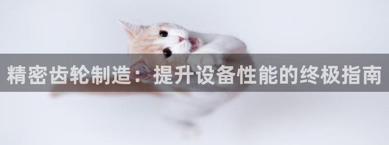 彩神8下载安卓版-彩神8(可提现)官网版1.0.0：精密齿轮制造：提升设备性能的终极指南