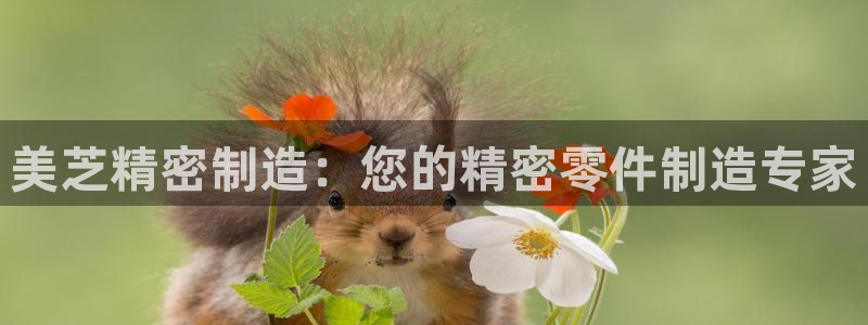 彩神v8是真的挣钱吗：美芝精密制造：您的精密零件制造专家