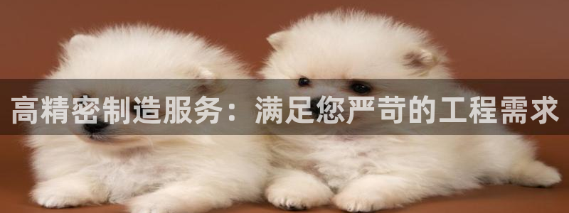 彩神v8app