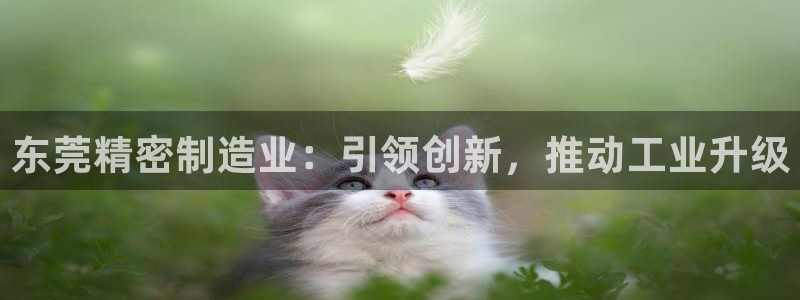 彩神8是正规平台吗