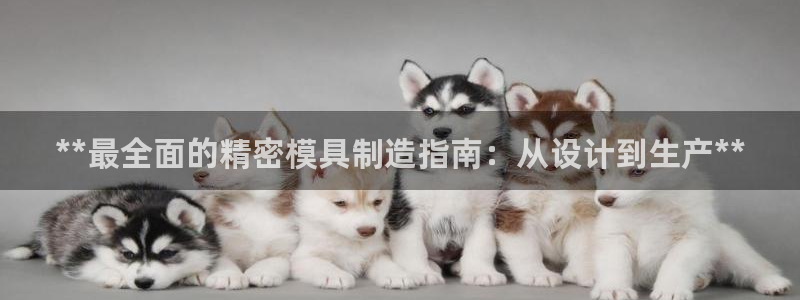 下载彩神乐发V1