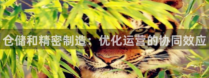 彩神官方登录