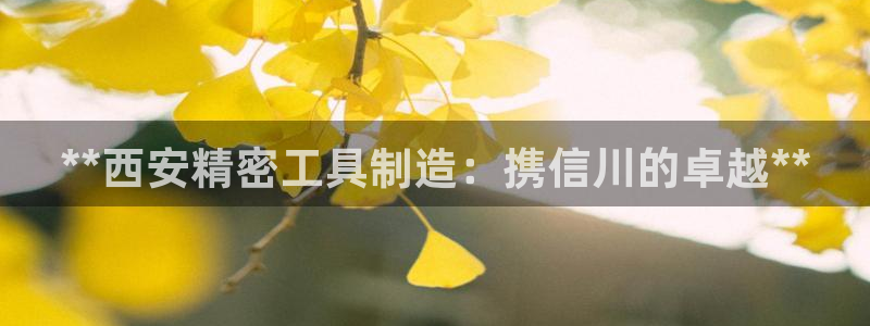 彩神平台之间是什么关系