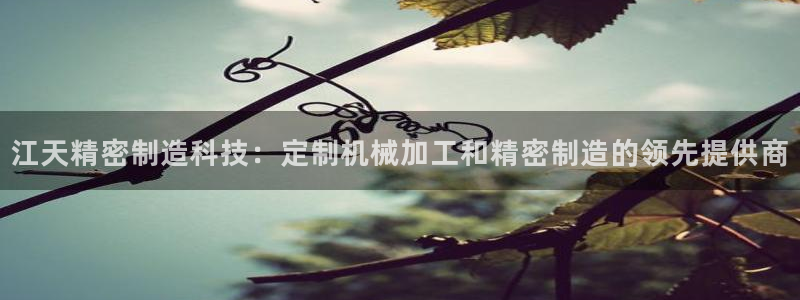 彩神ⅴll是什么样平台