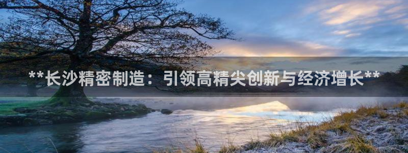彩神v秘聊号码