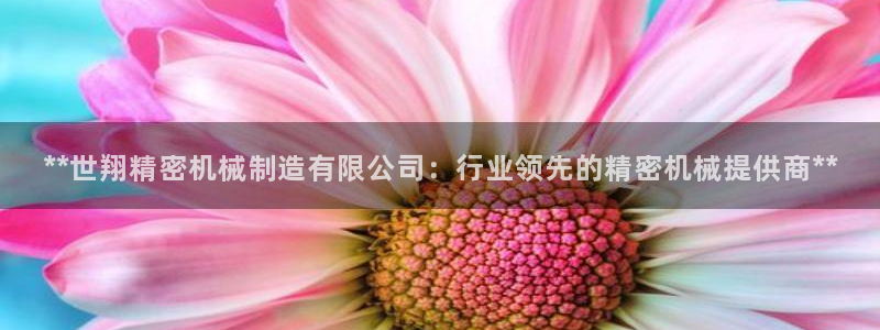 彩神是正规平台吗安全吗