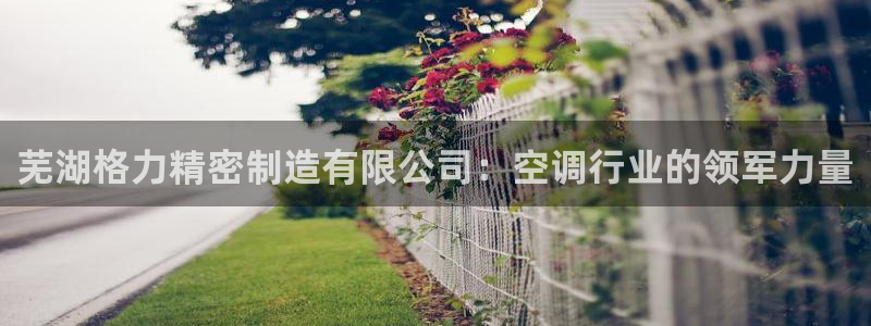 彩神v下载安装