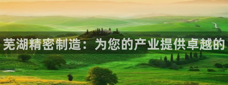 彩神是正规平台吗安全吗