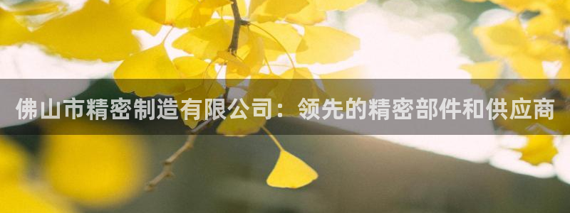 彩神VII官方版