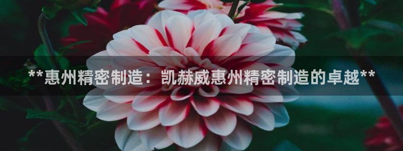 彩神v1破解器