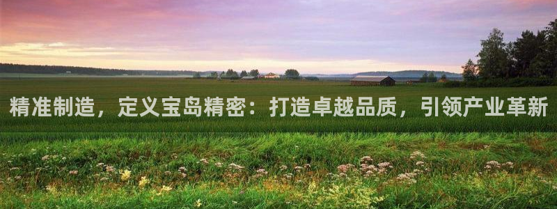 彩神vii购彩l心：精准制造，定义宝岛精密：打造卓越品质，引领产业革新