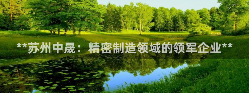 彩神v集团有限公司