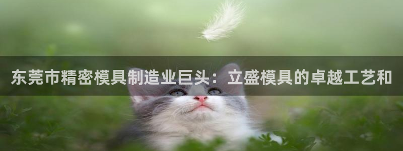 彩神旗下有哪些平台可以看