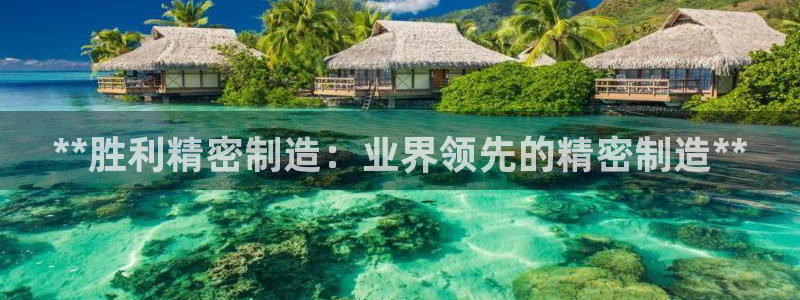 彩神vl购彩大厅
