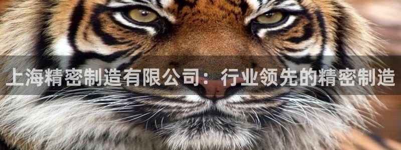 彩神ix官网是哪个公司的