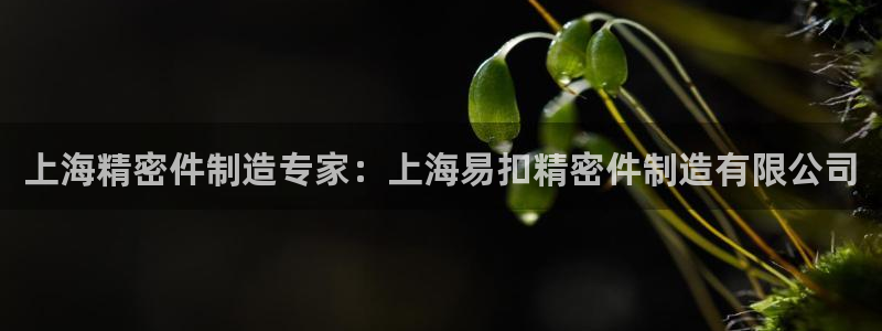彩神通官网下载：上海精密件制造专家：上海易扣精密件制造有限公司