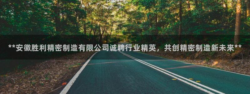 彩神v8下载app：**安徽胜利精密制造有限公司诚聘行业精英，共创精密制造新未来**