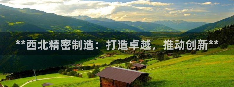 彩神V3大赢家：**西北精密制造：打造卓越，推动创新**