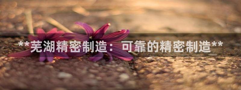 彩神是正规平台吗知乎：**芜湖精密制造：可靠的精密制造**