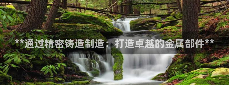彩神网官网登录