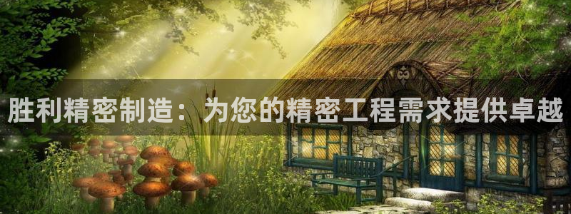 下载彩神v8：胜利精密制造：为您的精密工程需求提供卓越