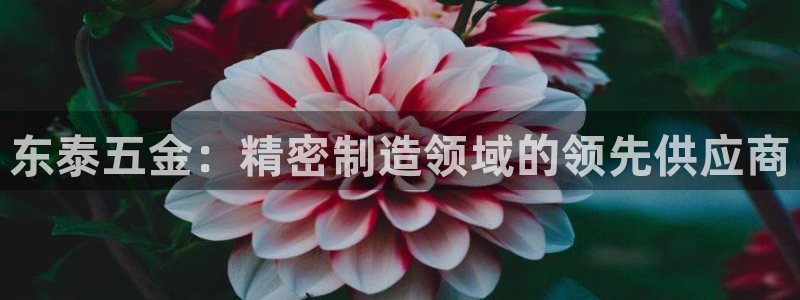 彩神VII官方版：东泰五金：精密制造领域的领先供应商