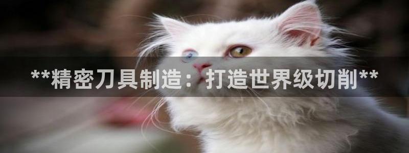 彩神赢钱了吗是真的吗：**精密刀具制造：打造世界级切削**