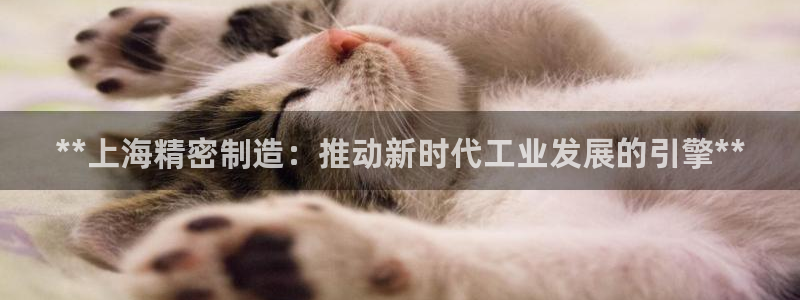 彩神赢的钱是哪里来的啊：**上海精密制造：推动新时代工业发展的引擎**