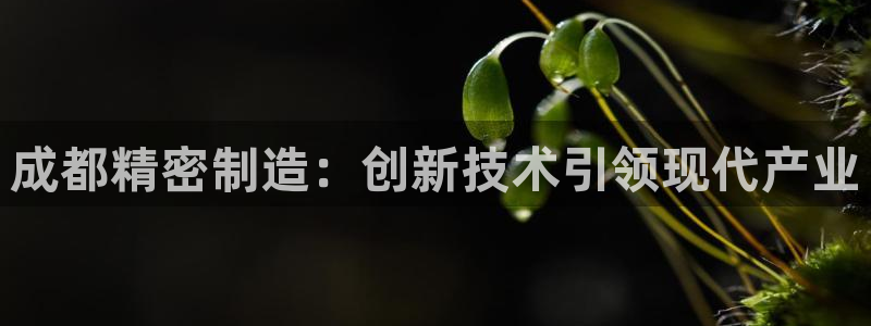 彩神天下专家专栏：成都精密制造：创新技术引领现代产业