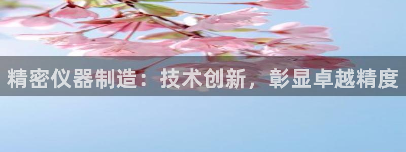 彩神购彩-购彩大厅入口下载：精密仪器制造：技术创新，彰显卓越精度