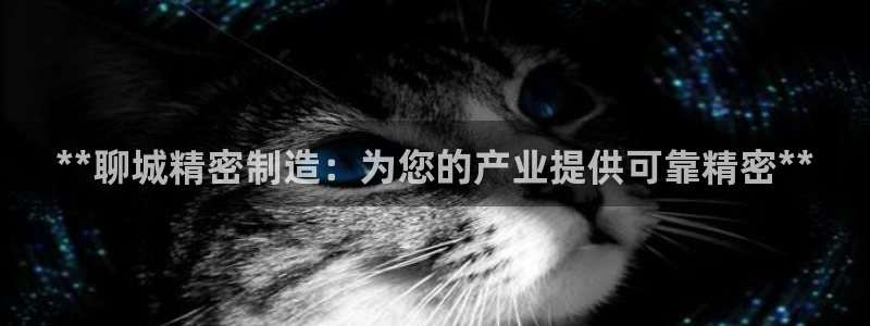 在彩神网输了六万多怎么拿回来