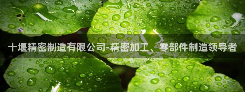 彩神v：十堰精密制造有限公司-精密加工、零部件制造领导者
